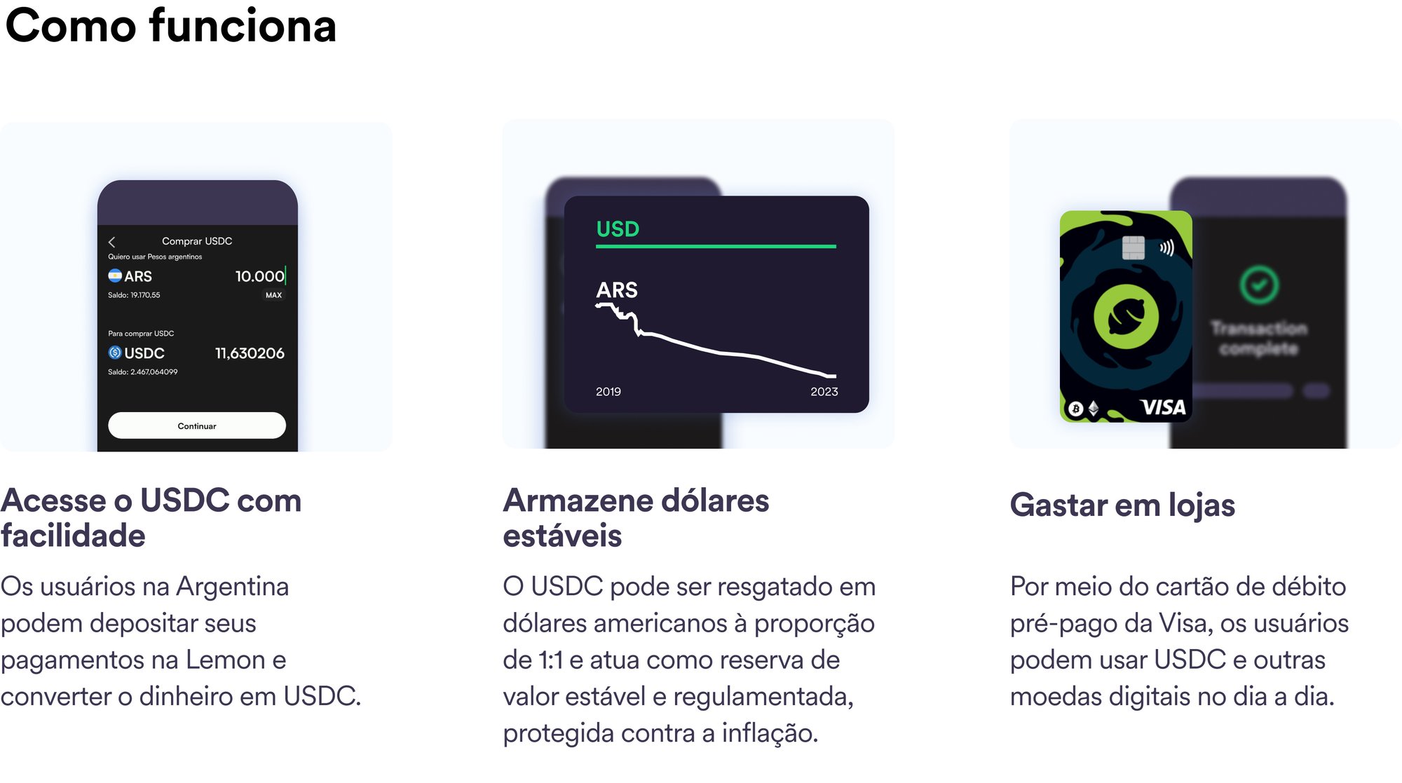 Lemon_howitworks_portuguese-d